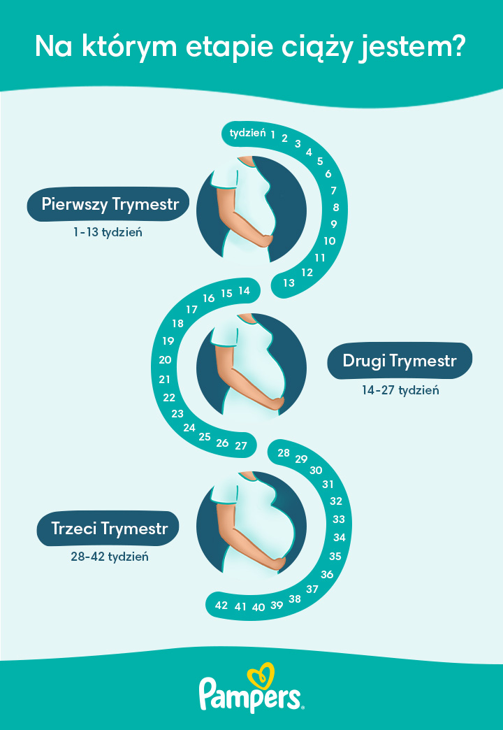 1, 2 i 3 tydzień ciąży - jakie są pierwsze objawy? | Pampers