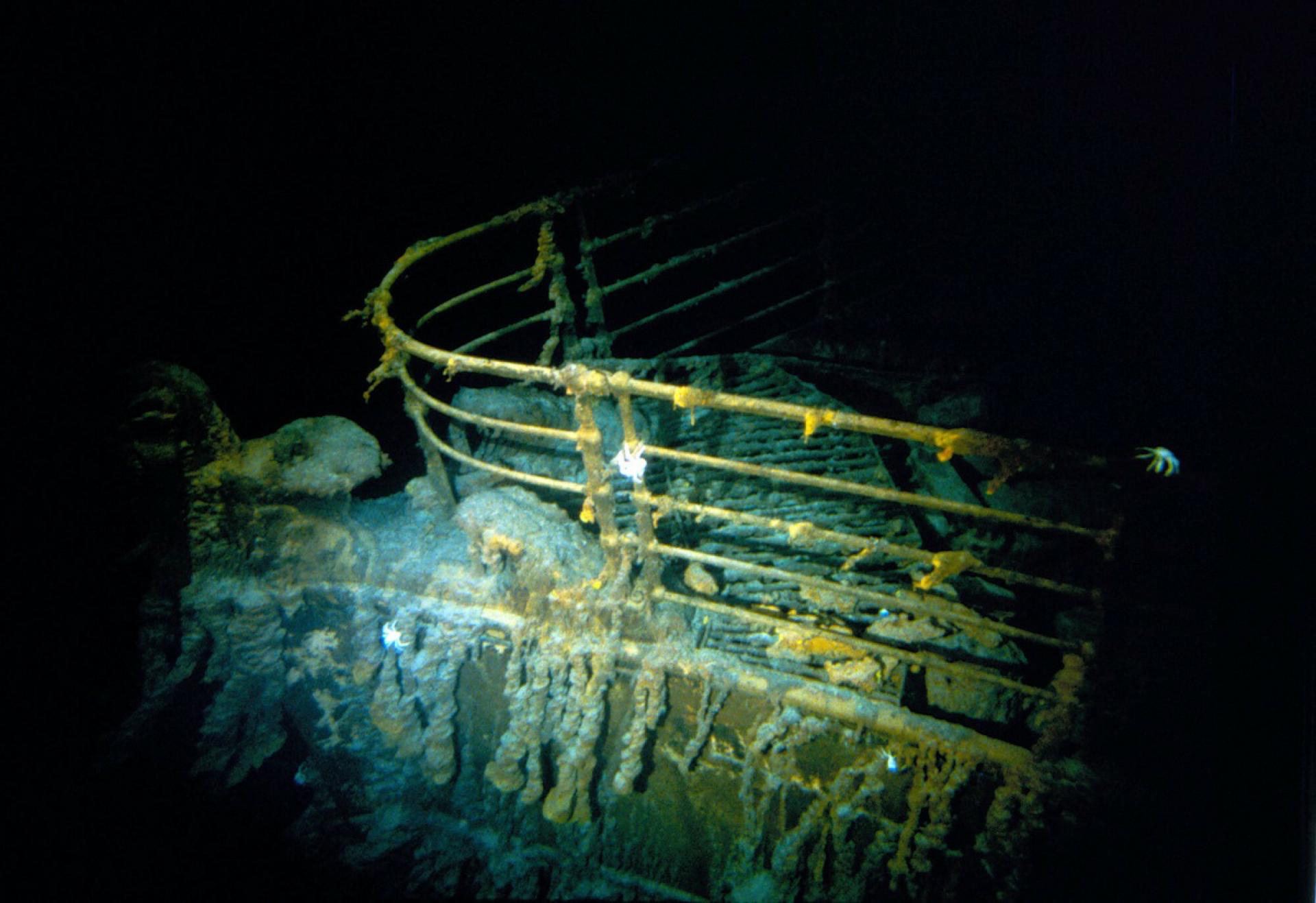 Titanic: 10 ciekawostek, o których nie miałeś pojęcia - Bydgoszcz ...