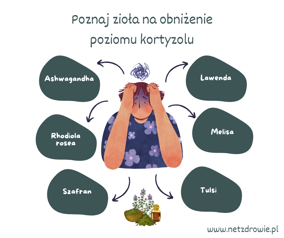 Zioła na obniżenie kortyzolu: naturalne sposoby na zarządzanie ...