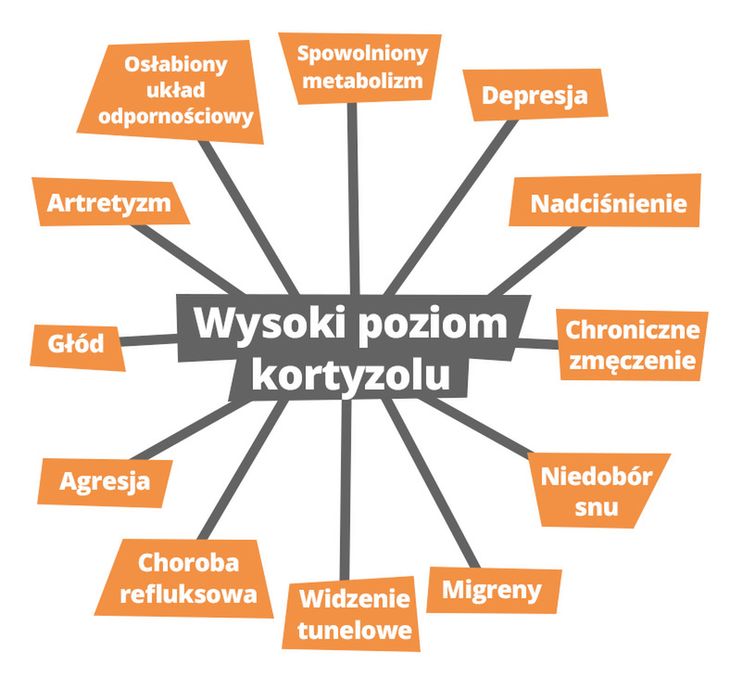 Kortyzol - hormon stresu. Jak obniżyć jego poziom? | Fitness