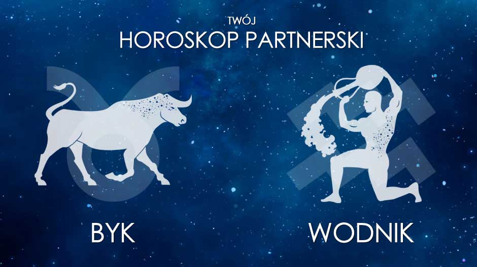 Horoskop partnerski: Wodnik | Jaki jest idealny partner dla Wodnika?