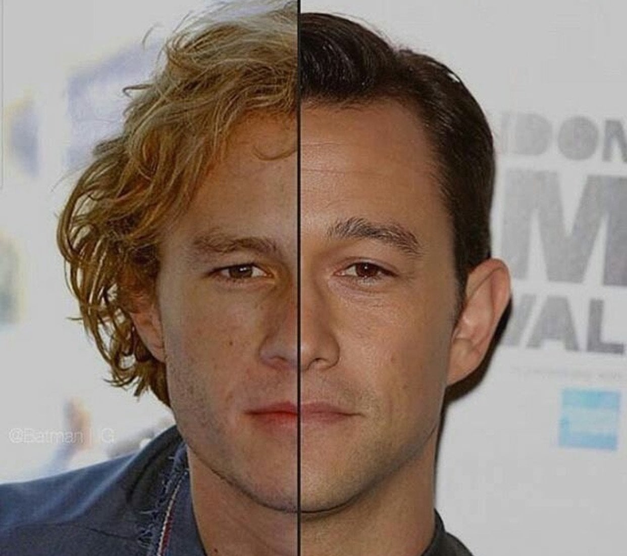 Heath Ledger and Joseph Gordon-Levitt are the same person : r/pics