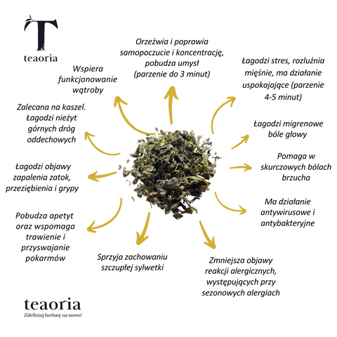 Herbata zielona z miętą – Teaoria - gruzińskie herbaty specialty