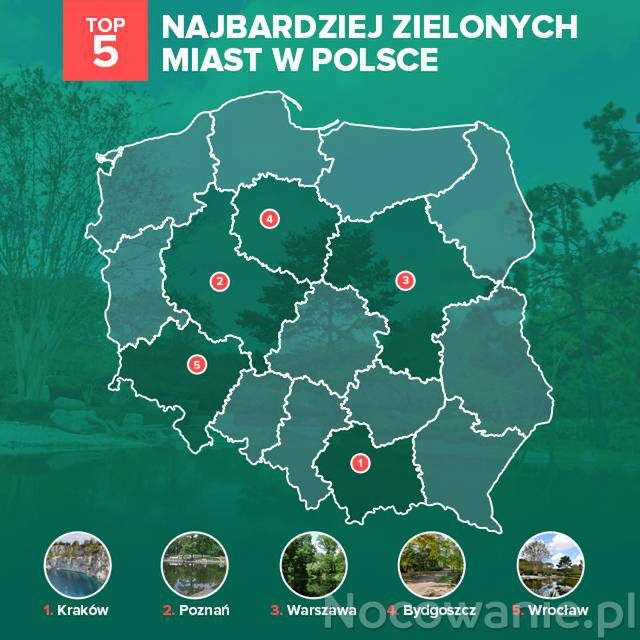 TOP 5 najbardziej zielonych miast w Polsce. Gdzie się wybrać?
